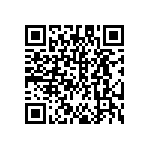 DW-22-13-F-S-945 QRCode