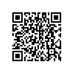 DW-22-13-L-D-787 QRCode