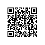 DW-38-13-F-S-945 QRCode