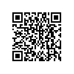 DW-41-13-F-S-955 QRCode