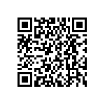 DWM-04-60-G-D-587 QRCode