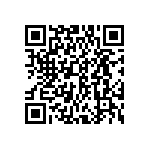 DWM-06-53-L-S-282 QRCode