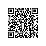 DWM-11-53-G-D-300 QRCode