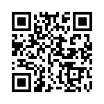 E20411300000G QRCode