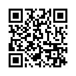 E39-P41 QRCode