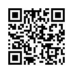 ERZ-E11F911 QRCode