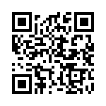 ESQ-123-24-S-T QRCode