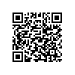 ESQT-102-02-L-D-312 QRCode