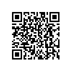 EW-10-12-T-S-384 QRCode