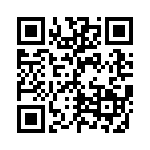 GEC17DREI-S93 QRCode