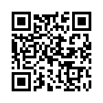 H101132F205NQ QRCode