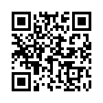 H51330500000G QRCode