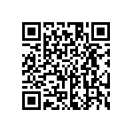 HE30807T1335PA7M QRCode