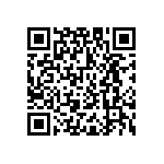 ICE3B3065PBKSA1 QRCode