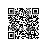 K333Z10Y5VF53L2 QRCode