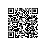 K333Z15Y5VF53H5 QRCode