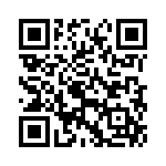 KE301351A000G QRCode