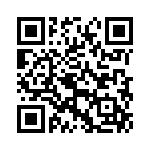 KE463351A000G QRCode