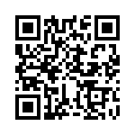 KJB6T13W8BD QRCode