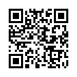 KR1101000000G QRCode