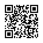 KT1401520000G QRCode