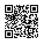 KV1750520000G QRCode