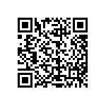 L2C2-30801205E1300 QRCode