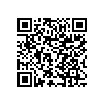 LM536013QDSXRQ1 QRCode