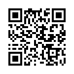 M22-2010346 QRCode