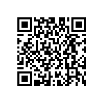 M55342H04B2E21RWS QRCode