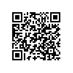 M55342H04B34B8RWS QRCode