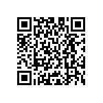 M55342H04B8B28RWS QRCode