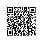 M55342K04B12E1RWSV QRCode