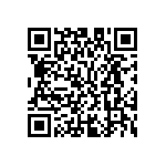 M55342K04B13B5RWS QRCode