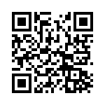 MAL210129333E3 QRCode