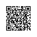 MKP383420250JPP2T0 QRCode