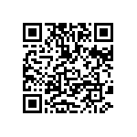 MKP385433063JKP2T0 QRCode