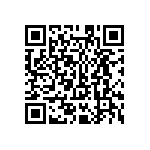 MKP385530063JPM4T0 QRCode