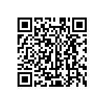 MKP385533100JPM2T0 QRCode