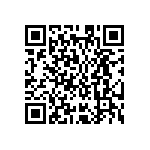 MKP386M456250YT7 QRCode