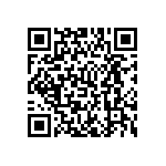 MP4-1L-1L-1T-00 QRCode