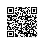 MS27656T17B13PA QRCode