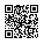 P0300EBLRP2 QRCode