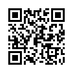 P16EER10RED QRCode