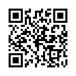 P4KE170-B QRCode