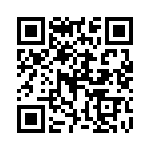 P4KE250C-G QRCode