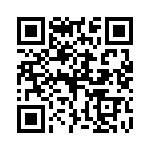 P4KE300C-G QRCode