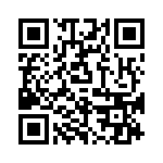 P4KE33CA-B QRCode