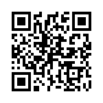 P4KE39C QRCode