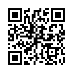 P4KE51C QRCode